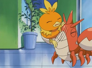 Torchic usando arañazo.
