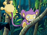 Aipom