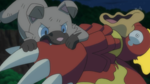 Rockruff usando mordisco.