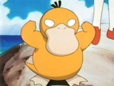 Psyduck