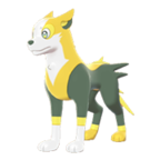 Boltund