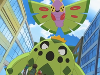 Dustox y Cacnea
