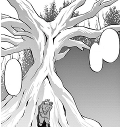 Forma árbol