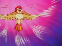 Pidgeotto de Ash usando remolino.