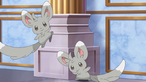Minccino