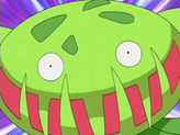 Carnivine
