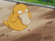 EP027 Psyduck.png