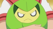 Swadloon
