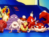 Magikarp