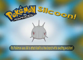 Silcoon