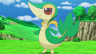 Imagen de Snivy