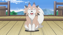 Lycanroc