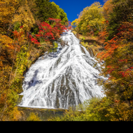 Fondo de Tochigi