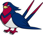 Swellow (dream world) 2.png
