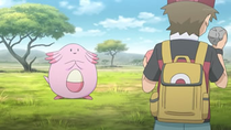 Imagen de Chansey