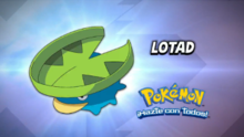 Lotad