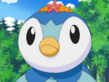 Piplup