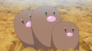EP1141 Dugtrio.png