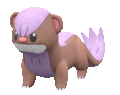 Imagen de Yungoos en Pokémon Escarlata y Pokémon Púrpura