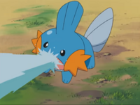 Mudkip usando pistola agua.