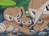 Nuzleaf