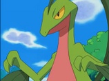 Imagen de Grovyle