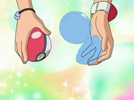 Después se introduce la Pokébola/Poké Ball deseada dentro de la cápsula.