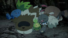 Zigzagoon