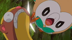 Rowlet de Ash usando placaje.