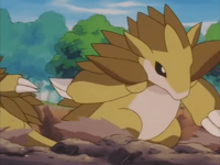 Sandslash usando excavar.