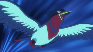 Imagen de Swellow