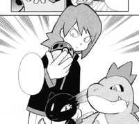 Silver/Plata sosteniendo una Pesabola/Peso Ball en Pocket Monsters Special.