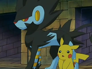 EP528 Luxray y Pikachu.png