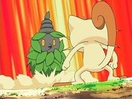 Burmy vs Meowth.