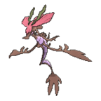 Dragalge