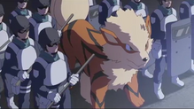 Arcanine