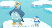 Piplup con Prinplup