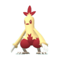 Imagen de Combusken variocolor macho en Pokémon Diamante Brillante y Pokémon Perla Reluciente