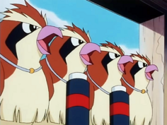 Imagen de Wingy, Flyngy, Dingy y Norman