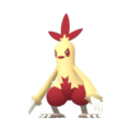 Imagen de Combusken variocolor macho en Pokémon Diamante Brillante y Pokémon Perla Reluciente