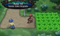 Ruta 18 XY.png