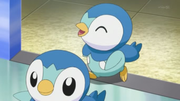 EP826 Piplup.png