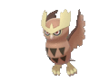 Imagen de Noctowl en Pokémon Espada y Pokémon Escudo