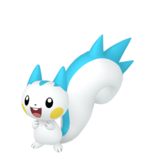 Pachirisu hembra