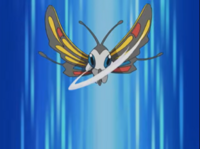Beautifly usando tornado.