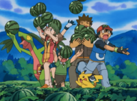 El Grovyle de Natasha sin la cinta.