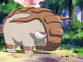 Donphan