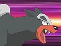 Houndour usando mordisco.