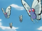 Butterfree