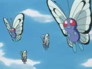 EP021 Butterfree (1).png